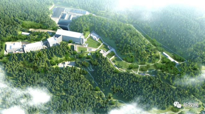 年出栏10万头生猪！广东肇庆这个楼房养猪项目正式投产！(图3)