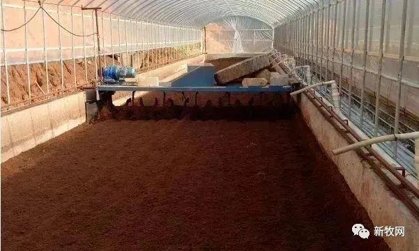 年出栏10万头生猪！广东肇庆这个楼房养猪项目正式投产！(图4)