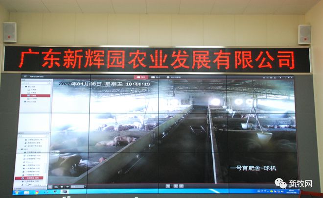 年出栏10万头生猪！广东肇庆这个楼房养猪项目正式投产！(图7)