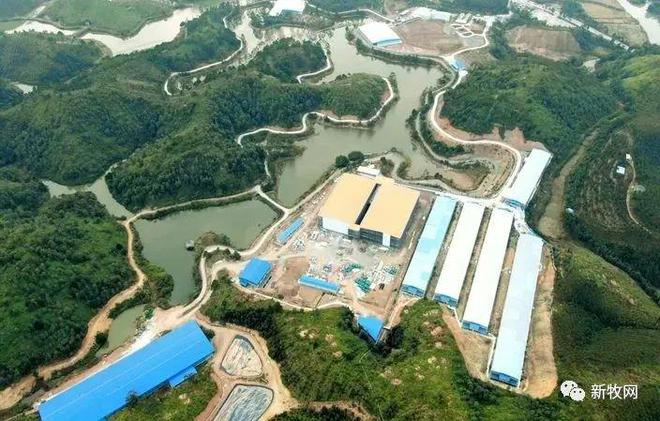 年出栏10万头生猪！广东肇庆这个楼房养猪项目正式投产！(图9)