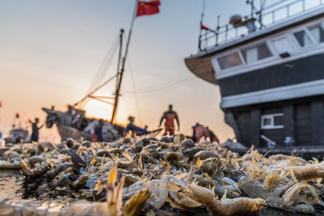 凯发旗舰厅发展现代设施农业山东这样干！(图3)