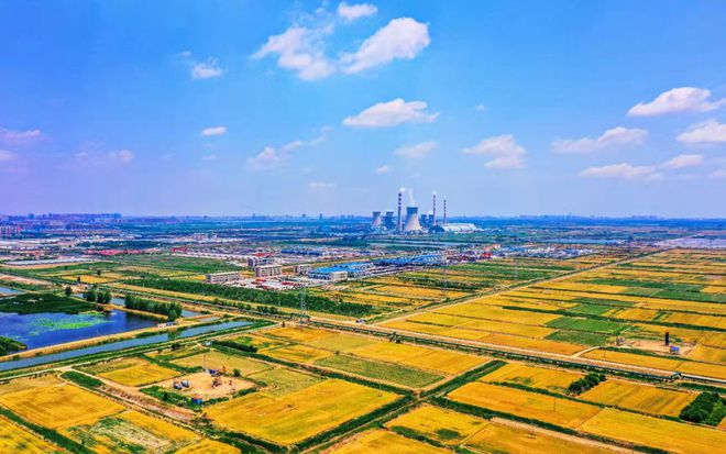 凯发旗舰厅发展现代设施农业山东这样干！(图2)