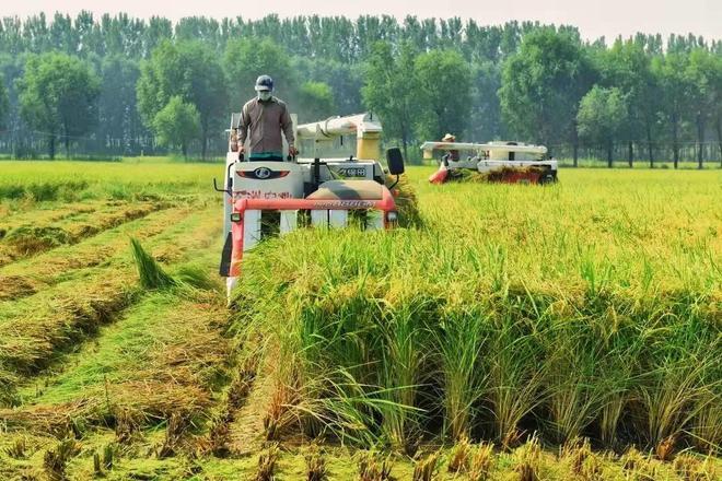 凯发旗舰厅发展现代设施农业山东这样干！