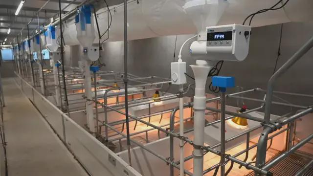 【农业行业观察】超然！无人猪场：未来养猪新场景（附商业模式）(图5)