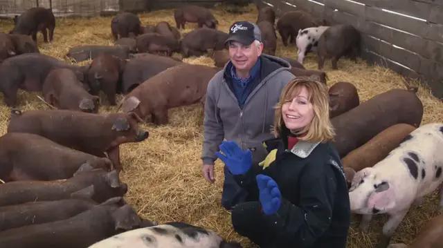 【农业行业观察】超然！无人猪场：未来养猪新场景（附商业模式）(图4)