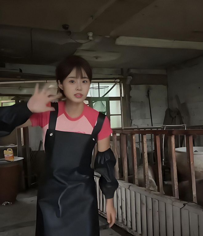 上海空姐辞职回家养猪父亲被气到离家出走养猪场如今怎样了？