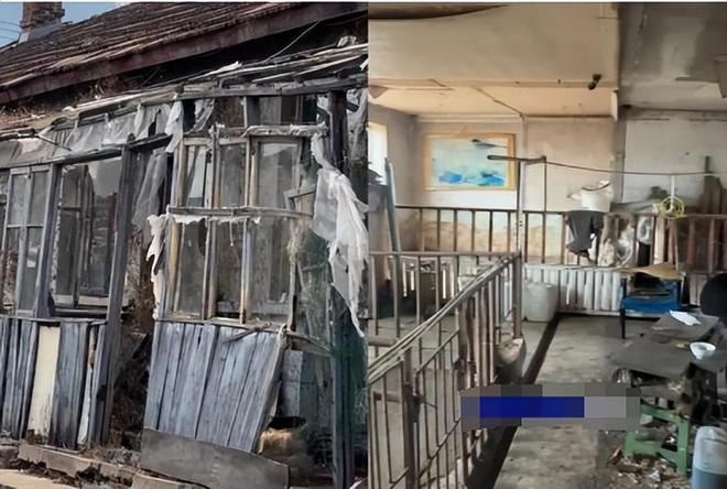 上海空姐辞职回家养猪父亲被气到离家出走养猪场如今怎样了？(图16)