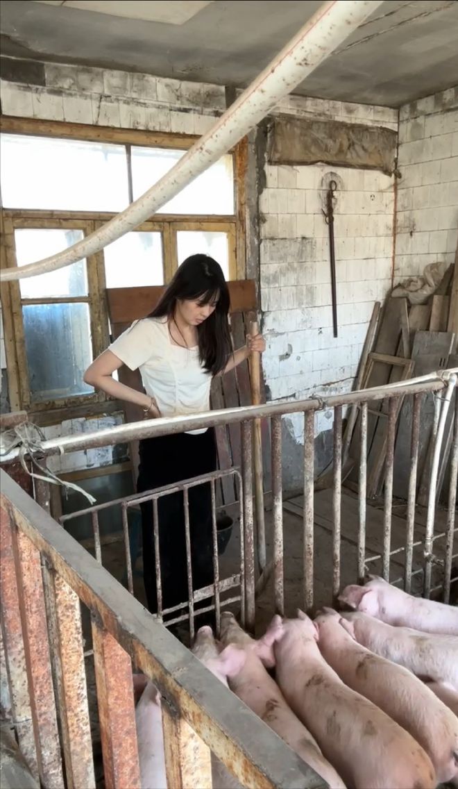 上海空姐辞职回家养猪父亲被气到离家出走养猪场如今怎样了？(图21)
