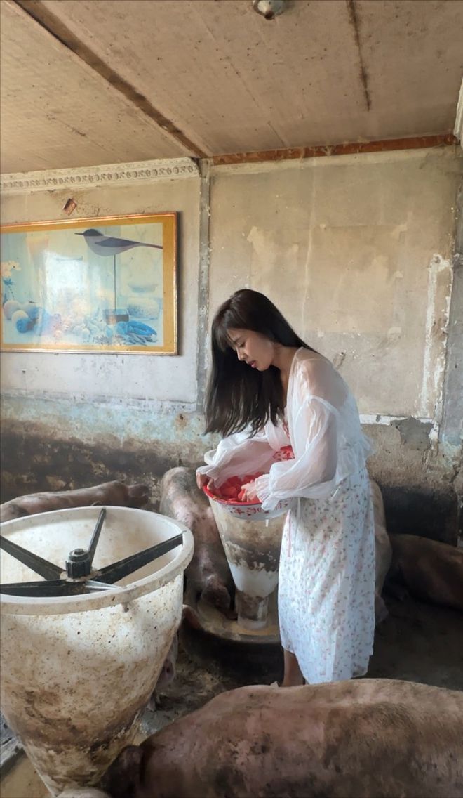 上海空姐辞职回家养猪父亲被气到离家出走养猪场如今怎样了？(图23)