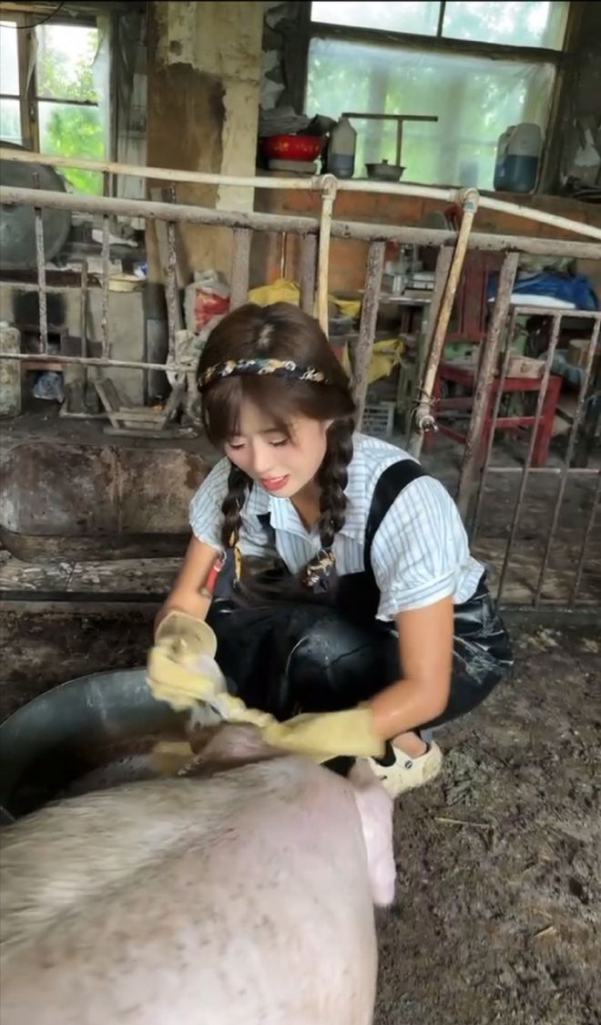 上海空姐辞职回家养猪父亲被气到离家出走养猪场如今怎样了？(图22)