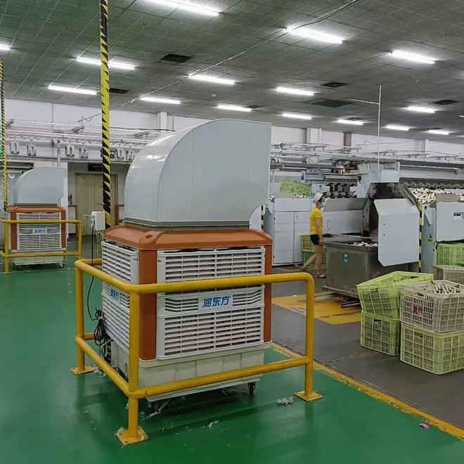 润东方移动冷风机的优势及应用范围有哪些？(图3)