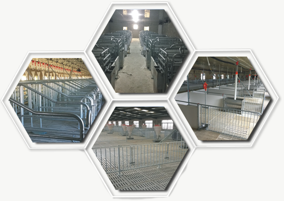 沈阳大业养殖设备有限公司(图2)