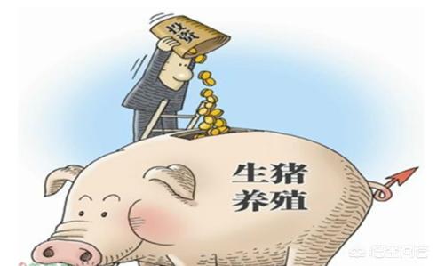 请问全国最大最好的养猪畜牧公司都有哪些推荐？(图4)