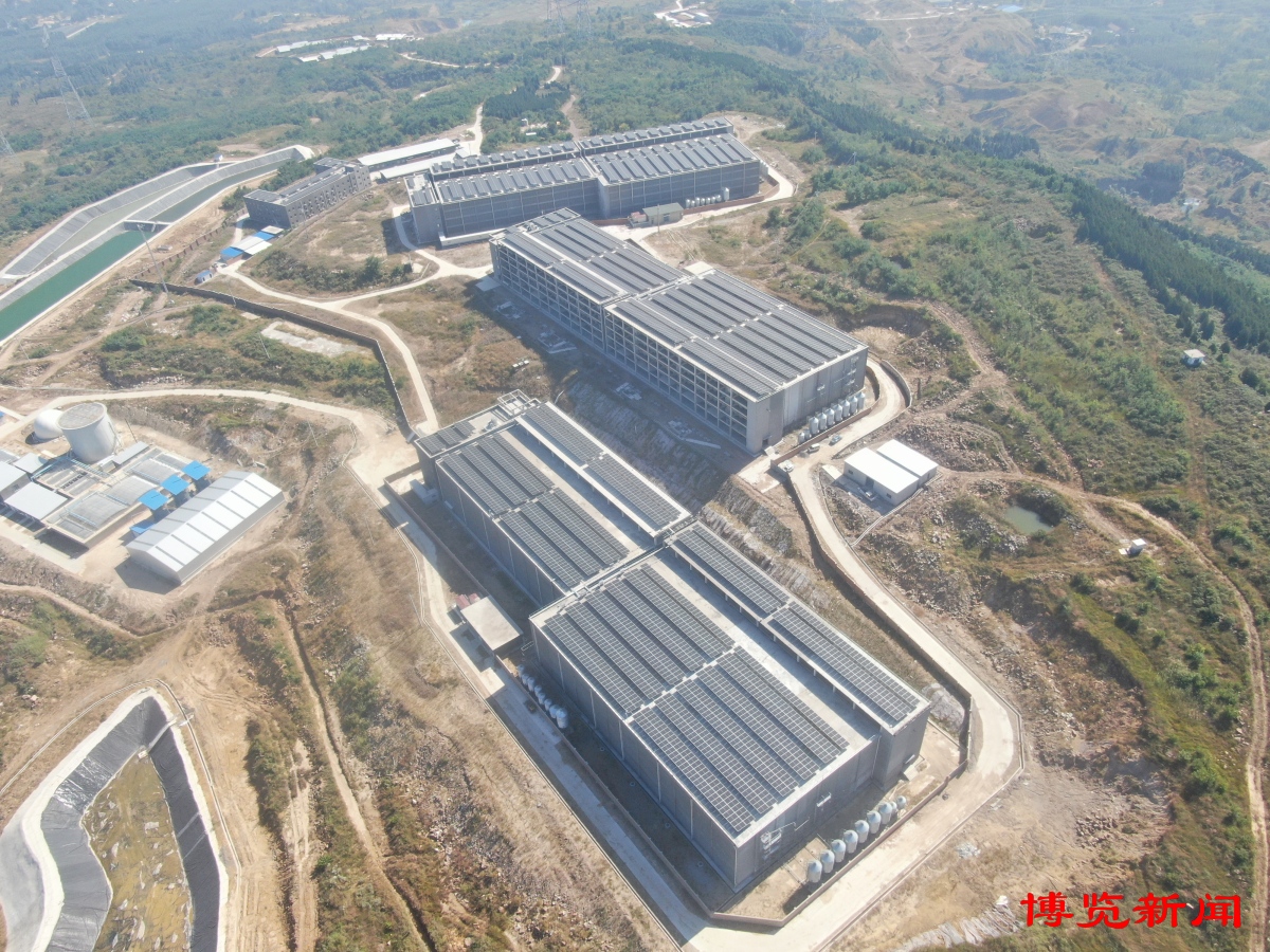 凯发旗舰厅“高楼养猪”引领淄博养殖现代化