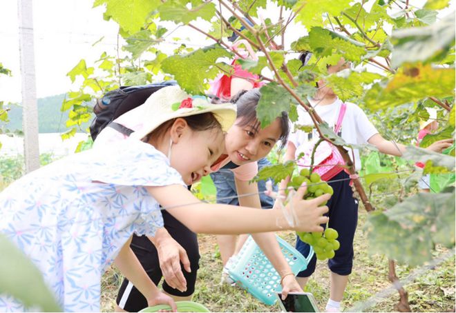 【人民日报】广州花都狮岭镇：铺就特色农业“丰饶路”奏响“兴村富民”奋进曲