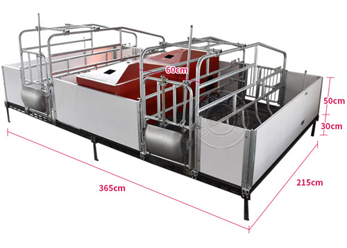 猪场常用的现代化栏体设备有哪些？(图2)
