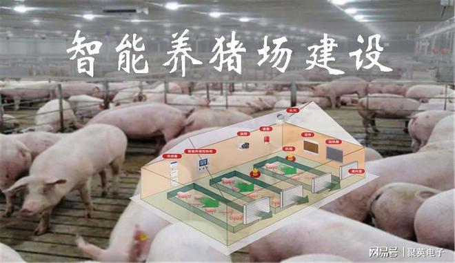 汇总智能养猪场主凯发旗舰厅要设备节本增效