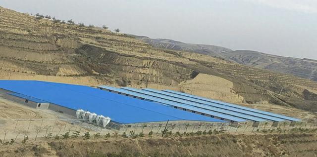 米脂县养猪业蓬勃发展助力乡村振兴