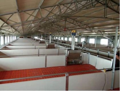 热浸锌产床批发_猪用畜牧、养殖业机械厂家-河南省基德养殖设备有限公司(图2)