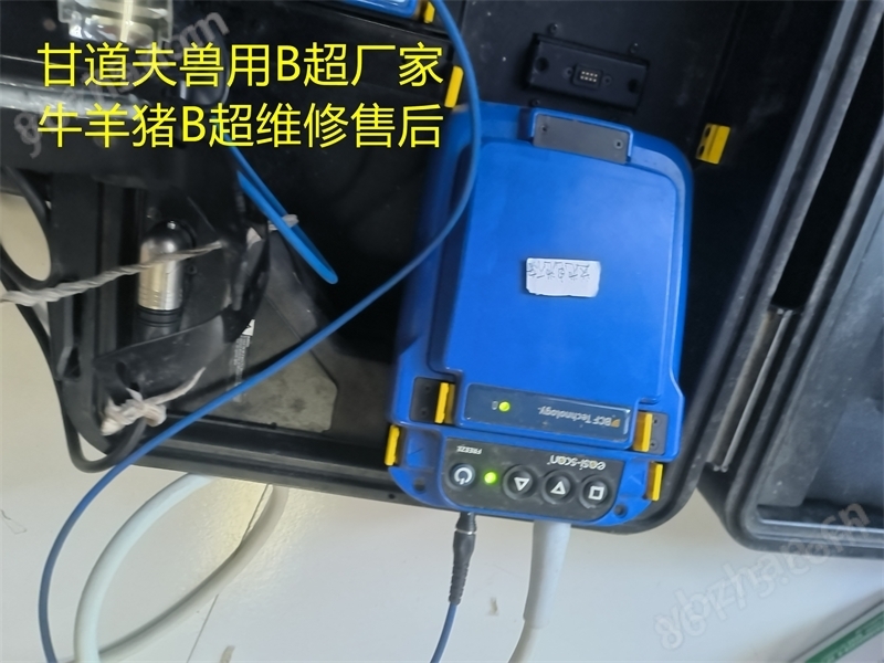 进口兽用B超维修报价牛羊用B超维修价格