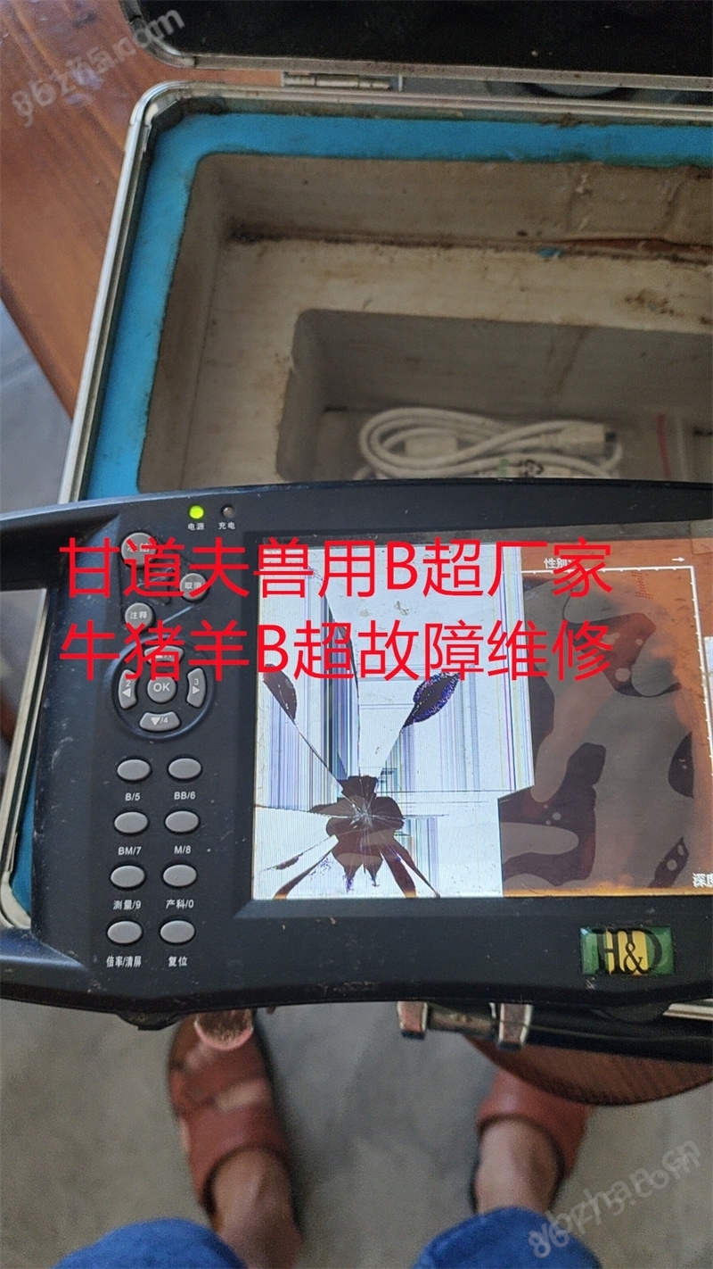 进口兽用B超维修报价牛羊用B超维修价格(图2)