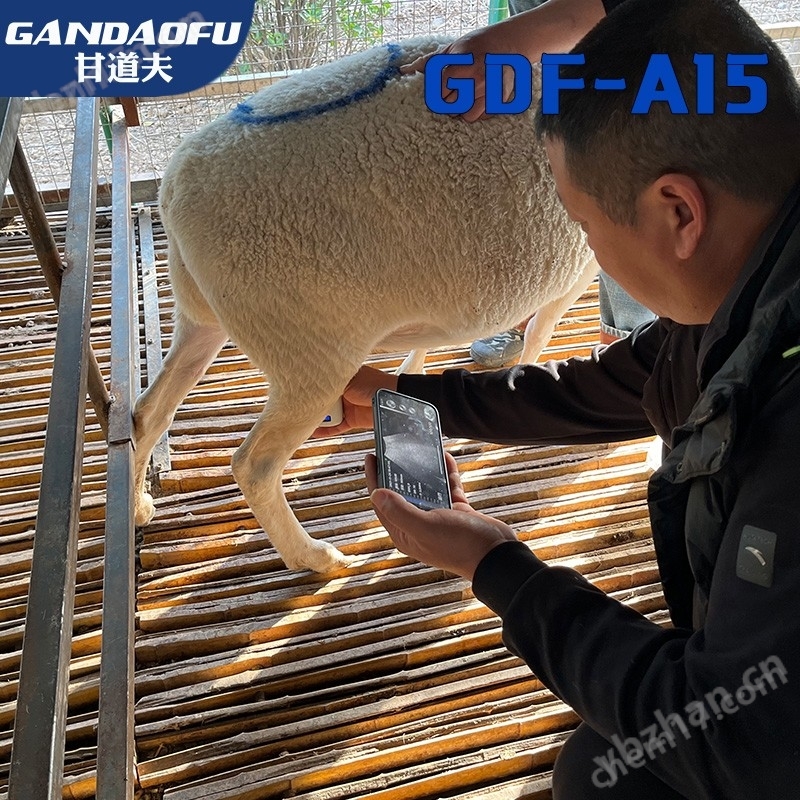 兽用无线B超品牌厂家牛羊用B超价格报价(图2)