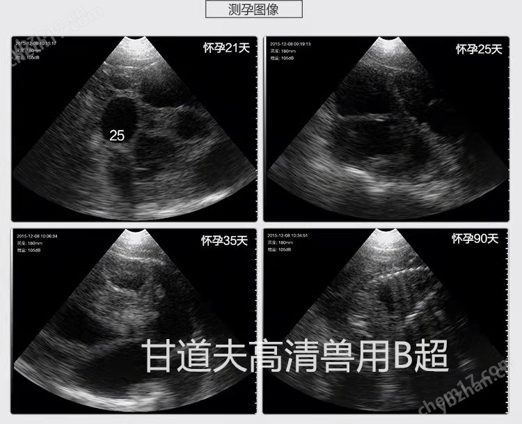 兽用无线B超品牌厂家牛羊用B超价格报价(图3)