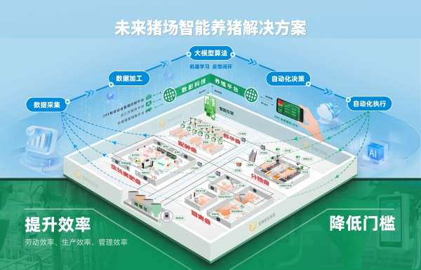 韩国忠清南道工作组领导考察广州南沙扬翔风行项目(图7)