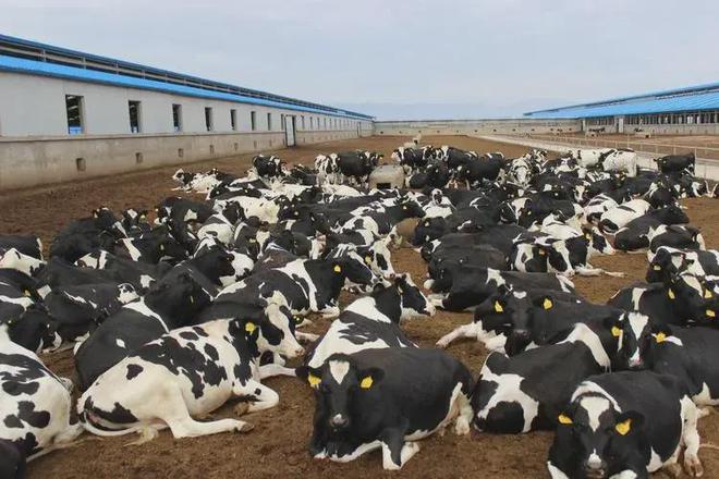 凯发国际【农业行业观察】畜牧行业新革命：数字牧场（附5大商业模式）(图3)