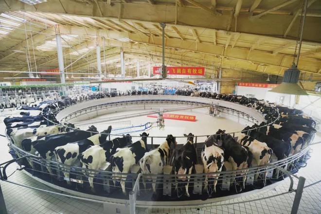 凯发国际【农业行业观察】畜牧行业新革命：数字牧场（附5大商业模式）(图2)