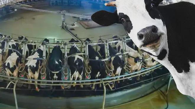 凯发国际【农业行业观察】畜牧行业新革命：数字牧场（附5大商业模式）