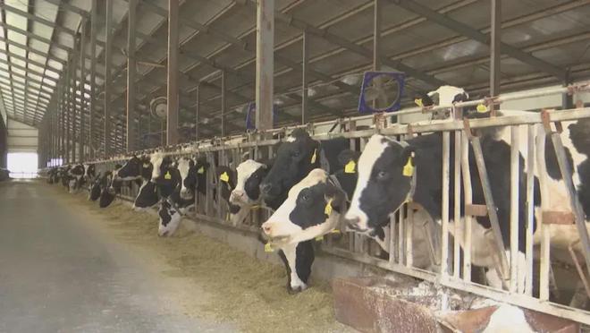 凯发国际【农业行业观察】畜牧行业新革命：数字牧场（附5大商业模式）(图4)