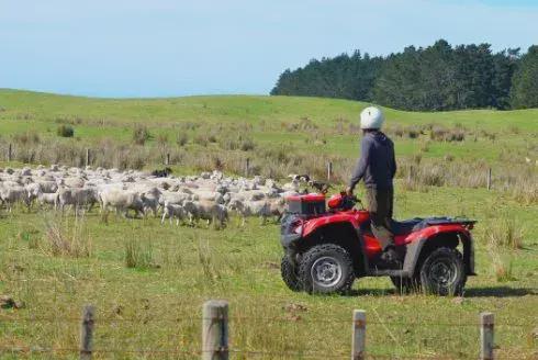 凯发国际【农业行业观察】畜牧行业新革命：数字牧场（附5大商业模式）(图5)