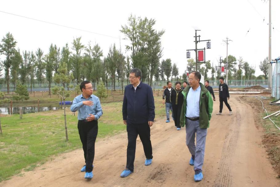 “头雁”导师西北农林科技大学罗军副校长赴榆阳区开展“头雁”项目学员回访跟踪(图3)