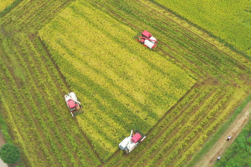潢川县魏岗镇：水润田丰诗意栖居的美丽家园(图2)