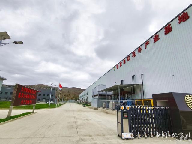 张家川县：肉牛产业增量提质强村富民“”头足(图8)