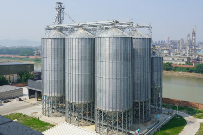 乐山市五通桥区：年产45万吨生猪饲料项目预计国庆节前正式投产ag凯发(图4)