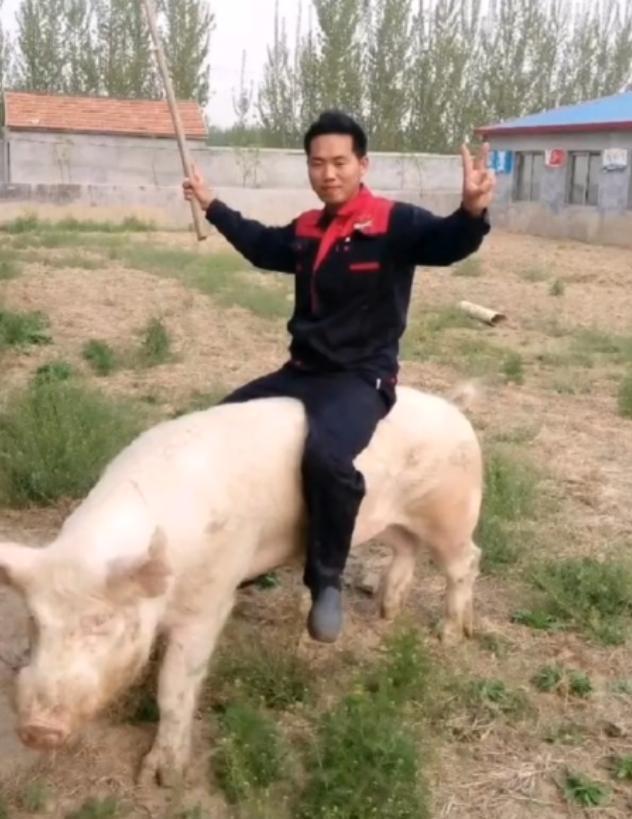 18年河北小伙离婚赴俄养猪如今娶20岁俄罗斯美女凯发旗舰厅成人生赢家(图3)