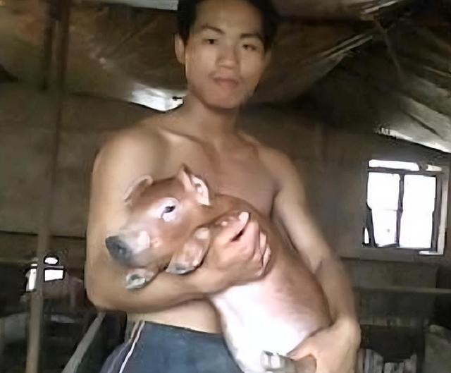 18年河北小伙离婚赴俄养猪如今娶20岁俄罗斯美女凯发旗舰厅成人生赢家(图4)