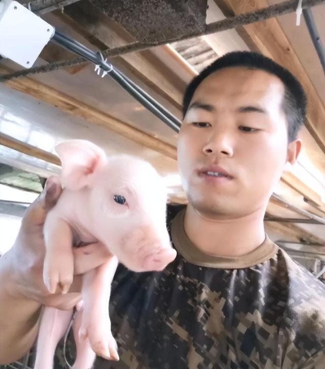 18年河北小伙离婚赴俄养猪如今娶20岁俄罗斯美女凯发旗舰厅成人生赢家(图8)