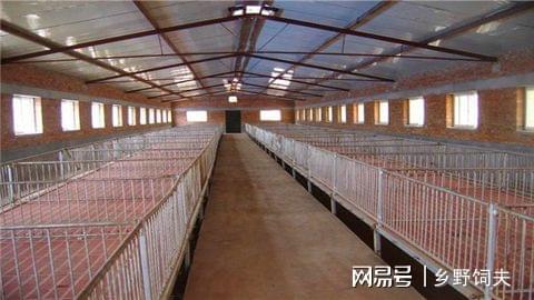 一个高效的养猪场都需要哪些设施设备？养猪人不可不看的干货分享(图2)