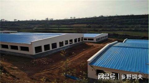 一个高效的养猪场都需要哪些设施设备？养猪人不可不看的干货分享(图3)