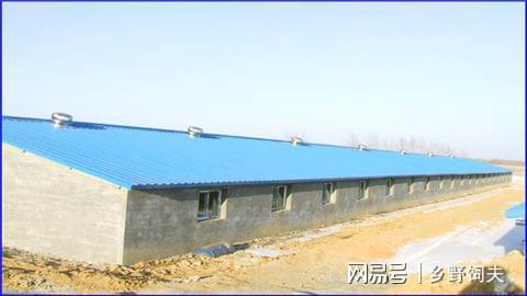 一个高效的养猪场都需要哪些设施设备？养猪人不可不看的干货分享