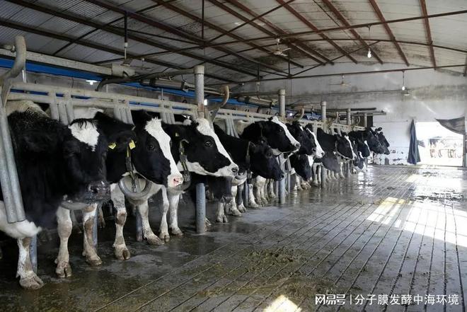 养殖补贴一览养殖场粪污堆肥最全补贴？养牛场最高达170万！(图2)