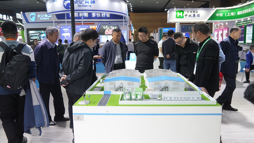 ag凯发靠养猪出海？一起拥抱智能养猪新时代