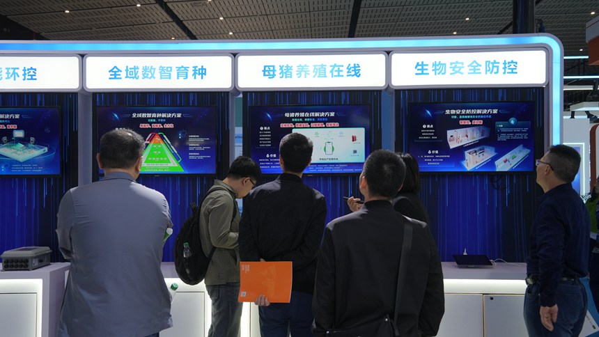 ag凯发靠养猪出海？一起拥抱智能养猪新时代(图2)