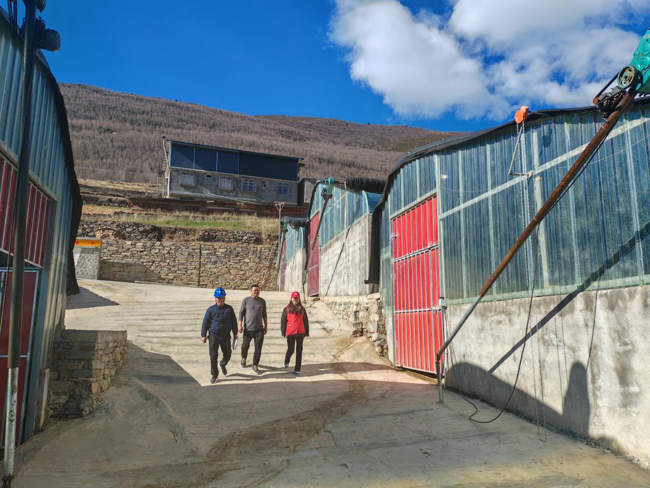 电力助力新型种养让养殖产业“牛”劲十足