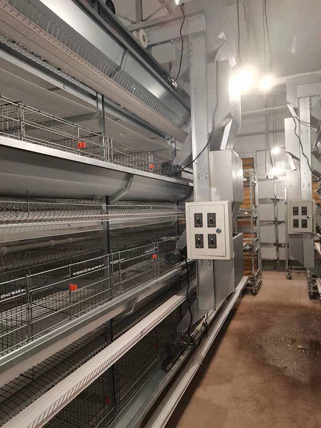 凯发旗舰厅家禽养殖设备机械-振兴牧业养殖设备厂家-佛山家禽