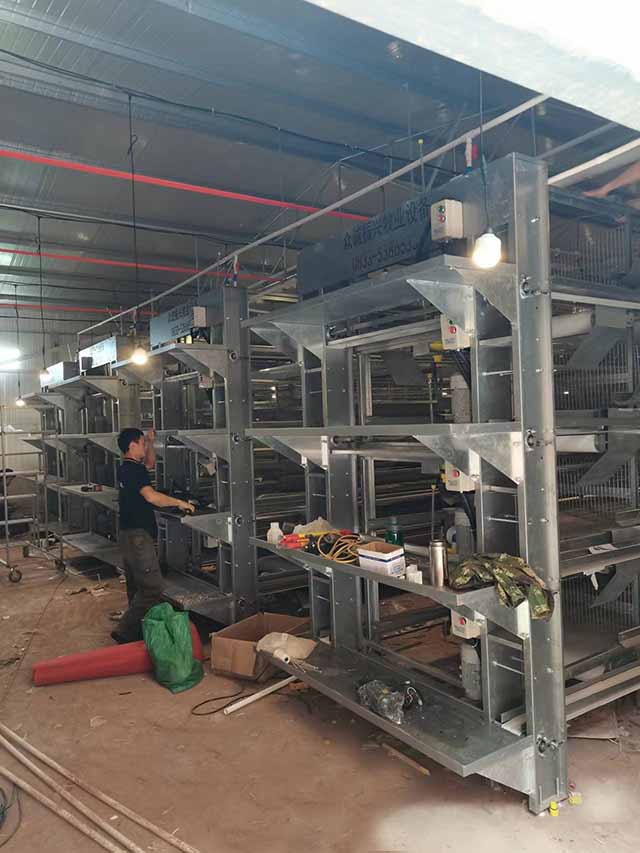 凯发旗舰厅家禽养殖设备机械-振兴牧业养殖设备厂家-佛山家禽(图3)