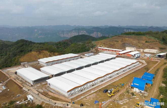 国家级核心育种场标准！清镇再添一座种猪选育场